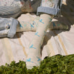 Socks that Protect Pollinators: Hummingbirds