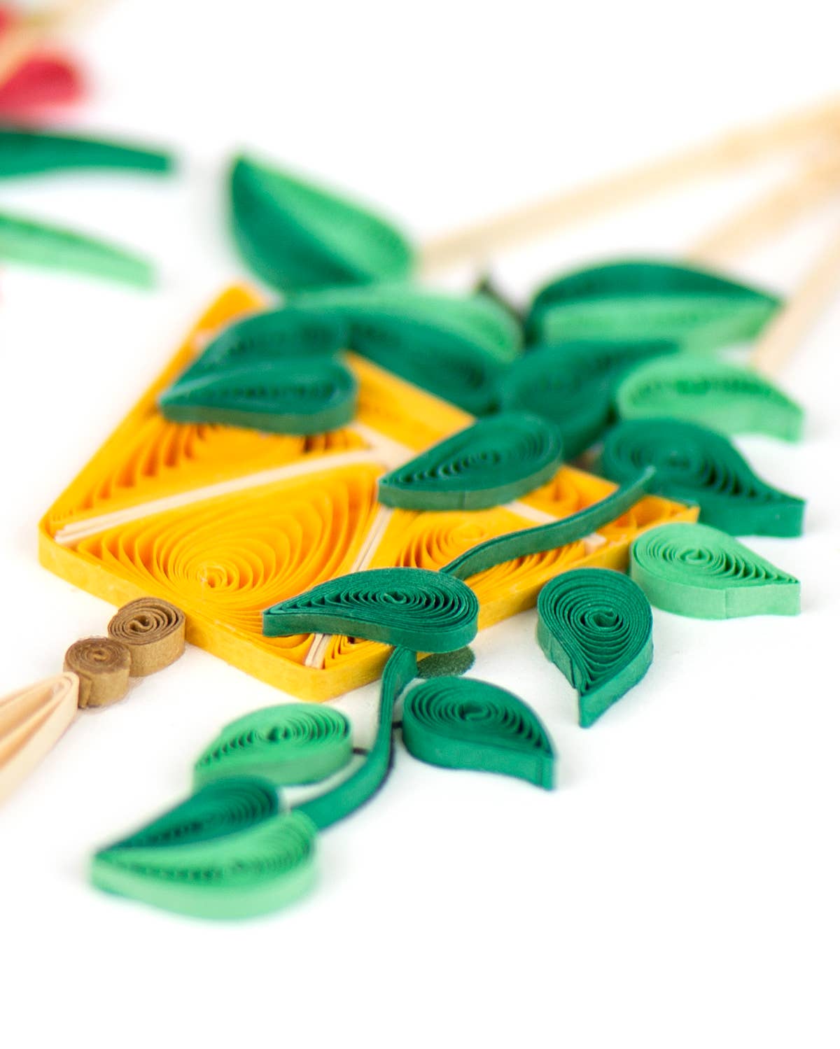 Macrame Plant Hangers Greeting Card