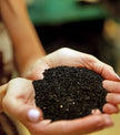 Black Seed Anti-Acne Skin Healing 1 oz