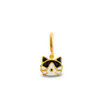 Cat Charm
