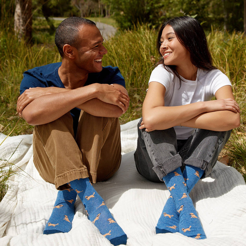 Socks that Save Dogs: Blue Golden Retrievers