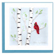 Cardinal Sympathy Greeting Card