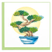 Bonsai Tree Greeting Card