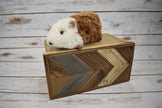 Cuyita Guinea Pig Alpaca Fur Toy: 5” x 2.0”