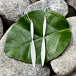 Elegant Point Earrings
