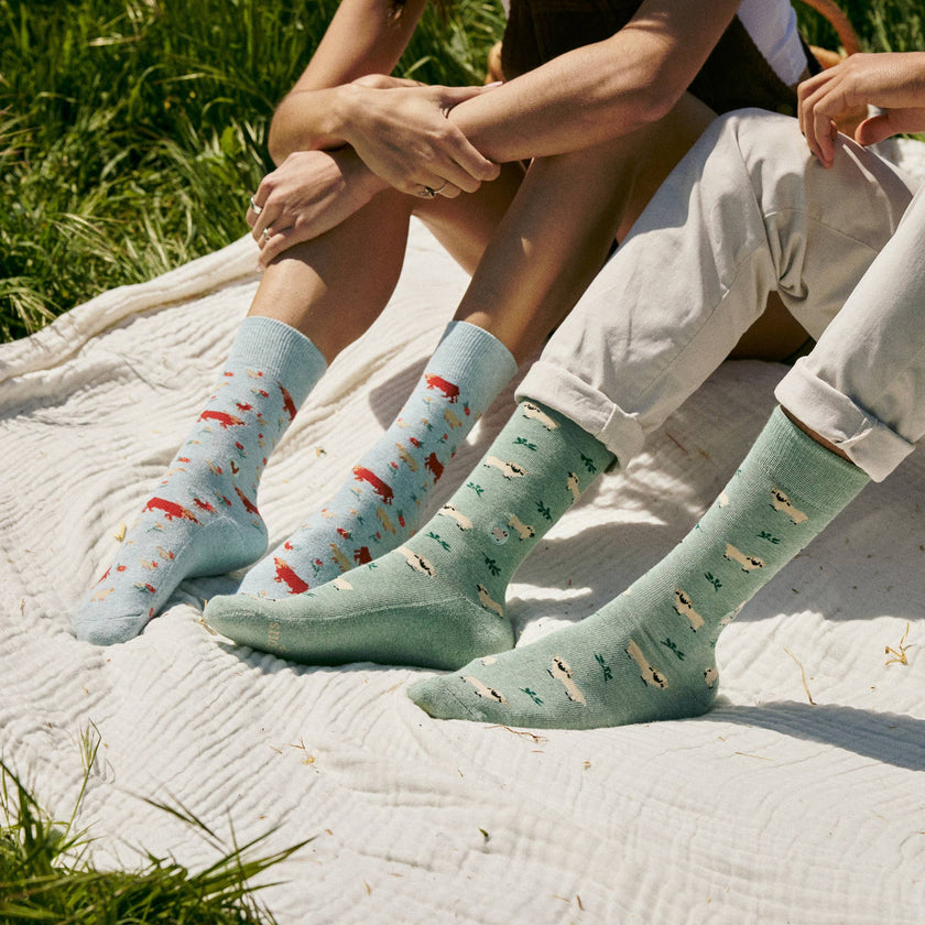 Socks that Save Sheep