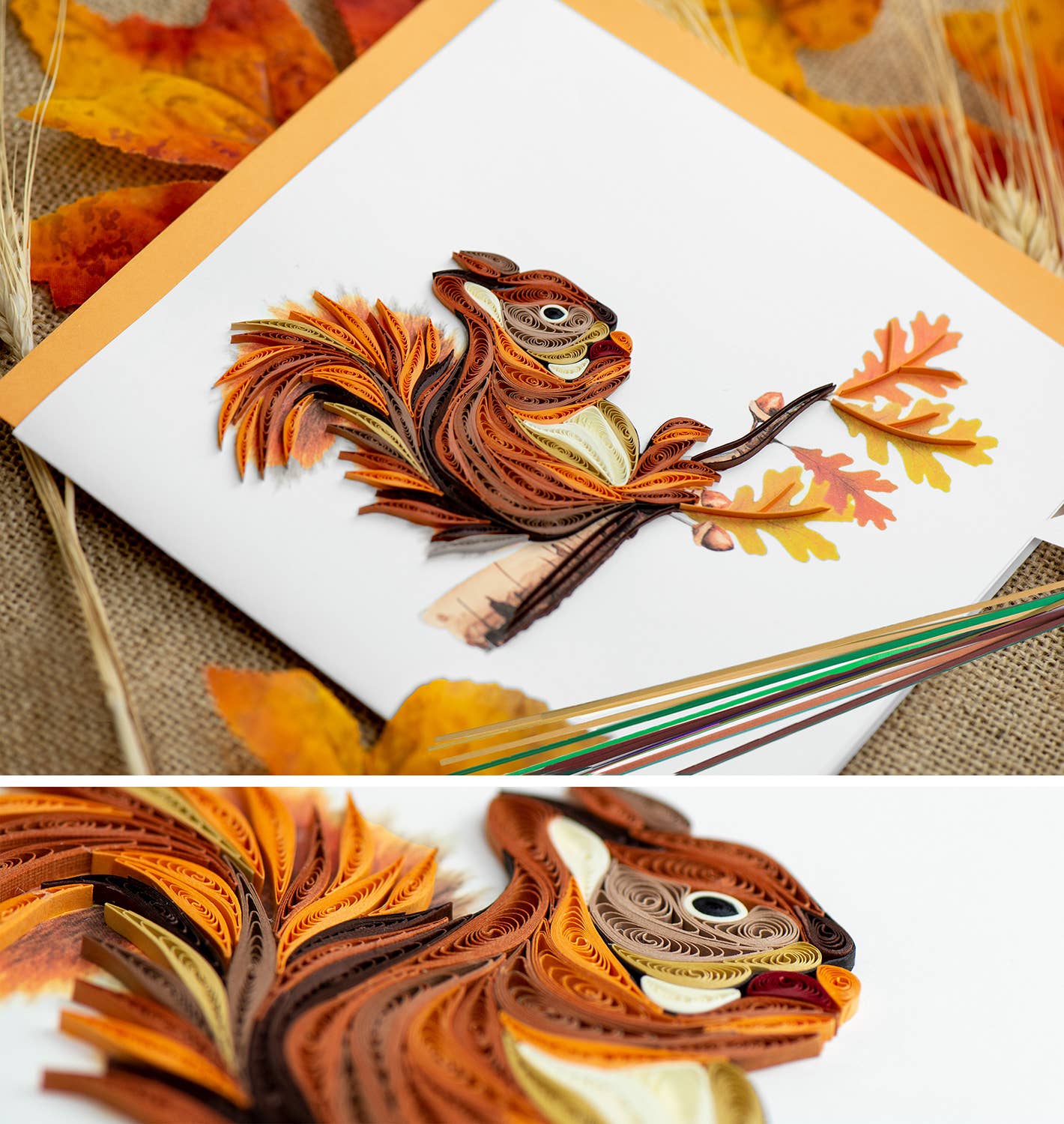 Squirrel Greeting Card