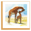 Giraffe Everyday Greeting Card
