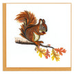 Squirrel Greeting Card