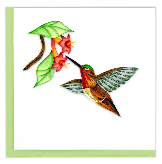 Rufous Hummingbird Gretting Card