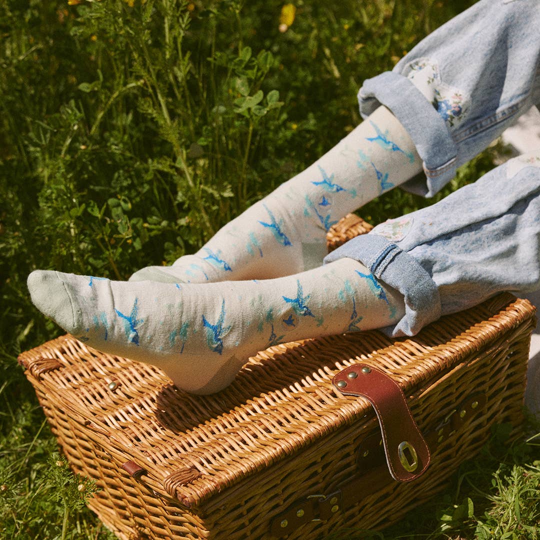 Socks that Protect Pollinators: Hummingbirds