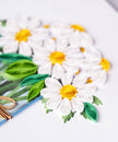 White Daisies in Jar Greeting Card