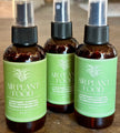 Air Plant Food Spray