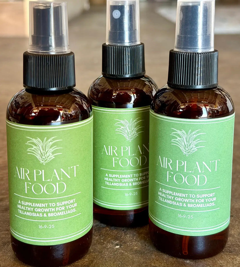 Air Plant Food Spray