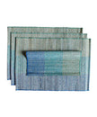 BISCOTTI CHUTNEY Placemats (Set of 4)