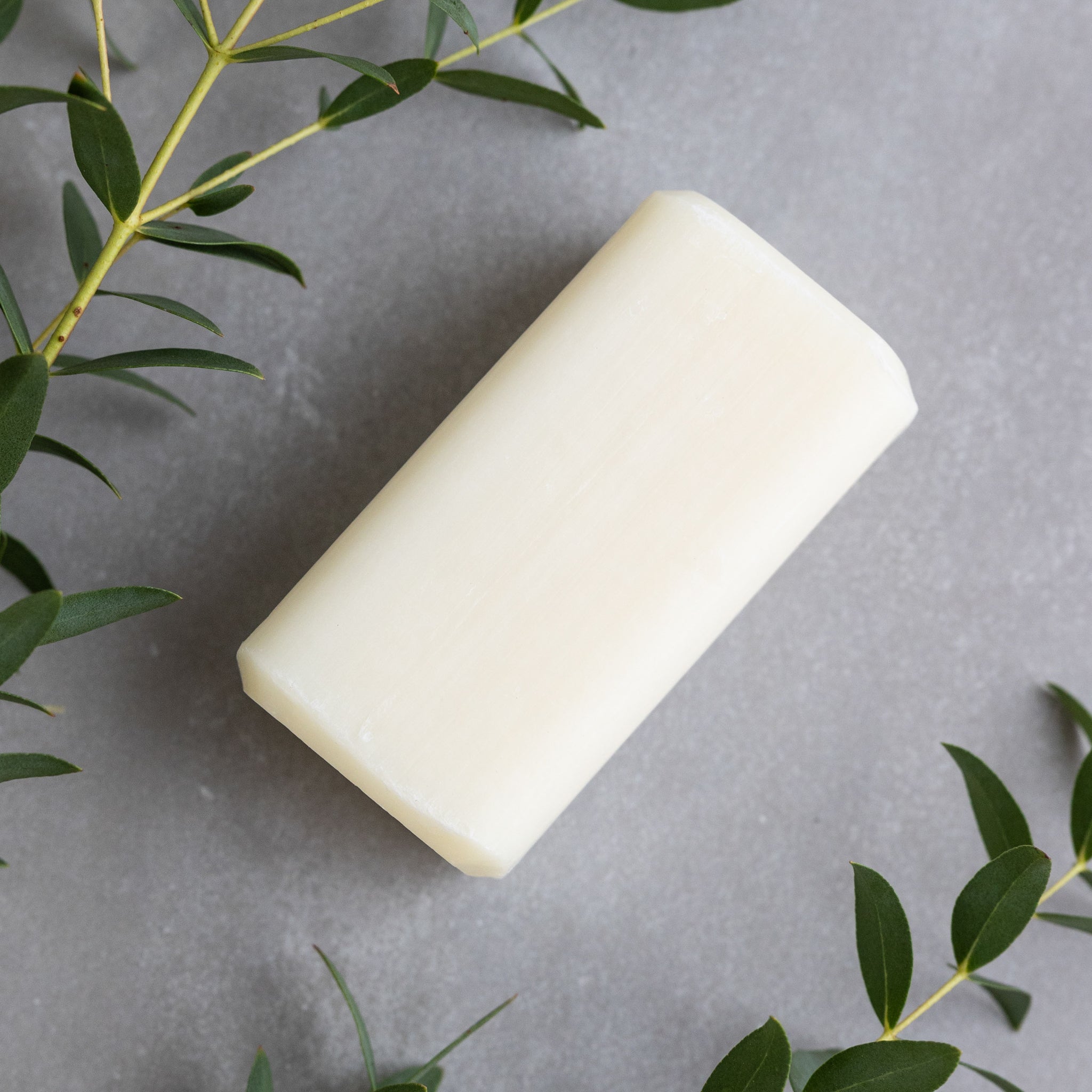 Cedar & Rosemary Soap