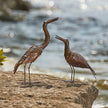 Copper Cranes - Set of 2