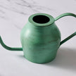 Bujhana Iron Watering Can - 5.5