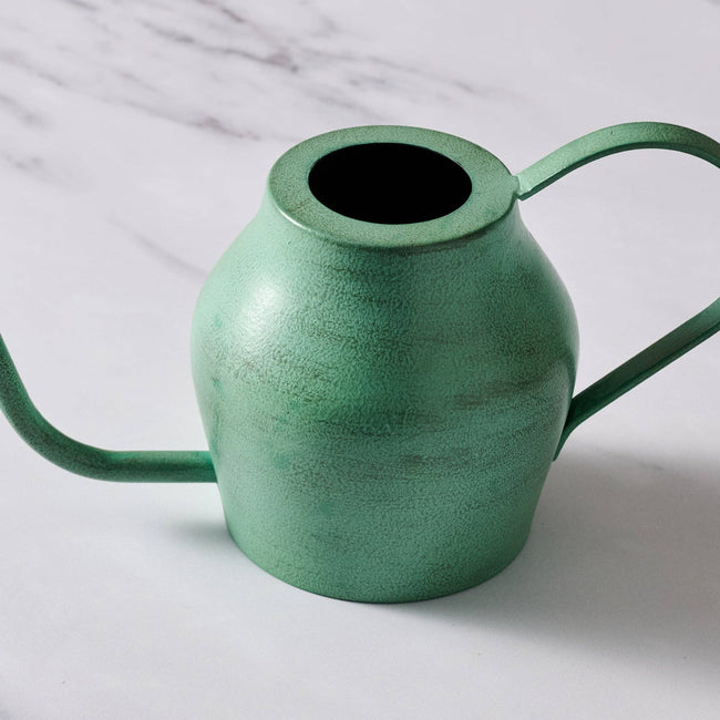Bujhana Iron Watering Can - 5.5