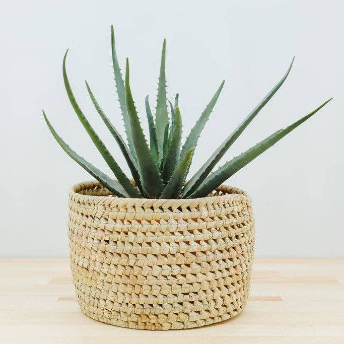 Potted Planter, Palm Leaf: Small