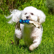 Dharma Dog Toy, Wool & Hemp Twist Pull, Blue/Turquoise: 16
