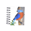 Small Notebook: Bluebird Embossed