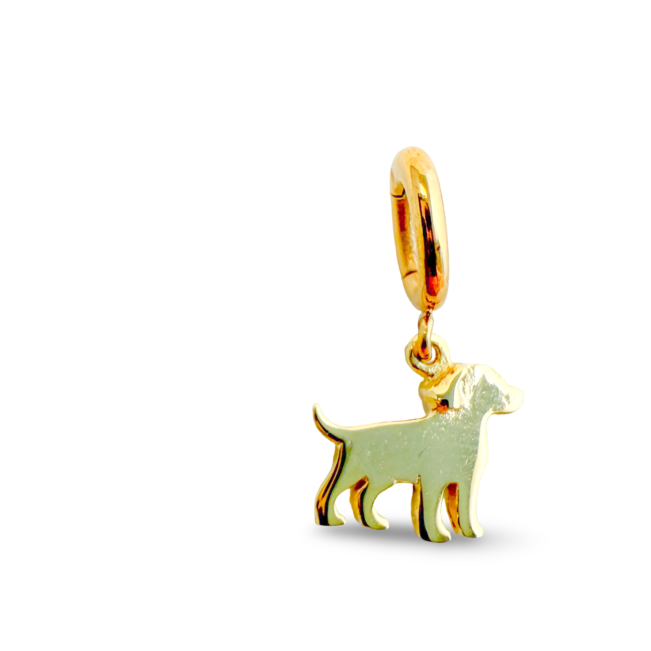 Dog Charm