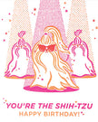 You're the Shih Tzu Birthday