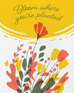 Bloom Where Planted