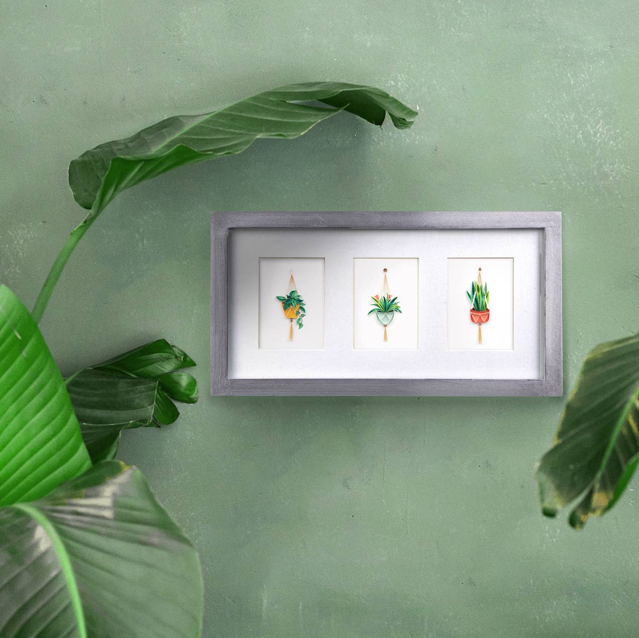 Bromeliad Macrame Hanger Gift Enclosure Mini Card