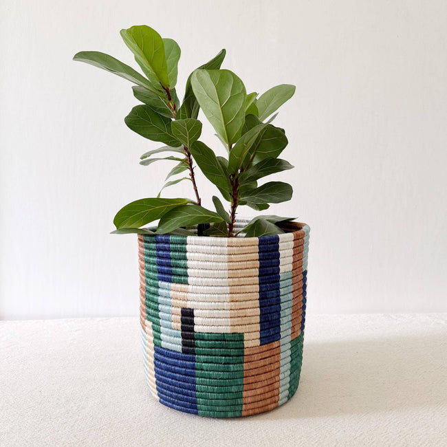 Storage Plant Basket 10