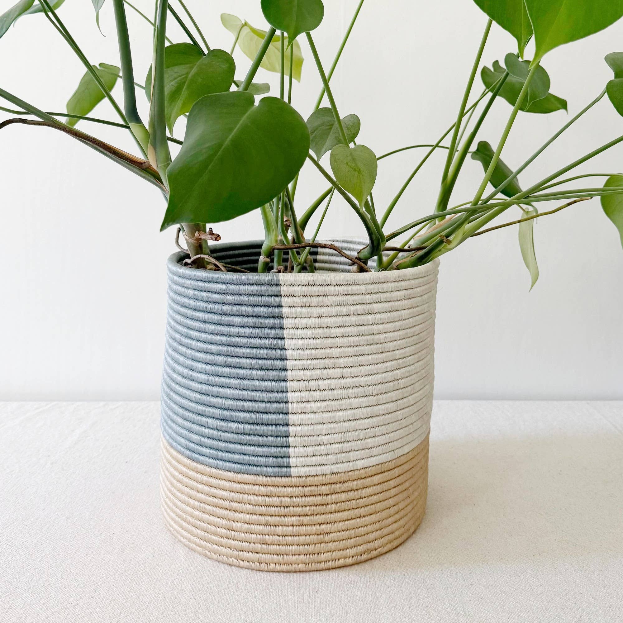 Storage Plant Basket: Kibati: 10