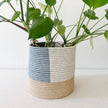 Storage Plant Basket: Kibati: 10