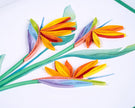Quilled Bird of Paradise Greeting Card