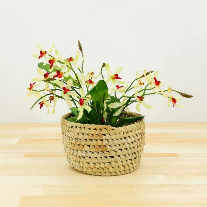Potted Planter, Palm Leaf: Small