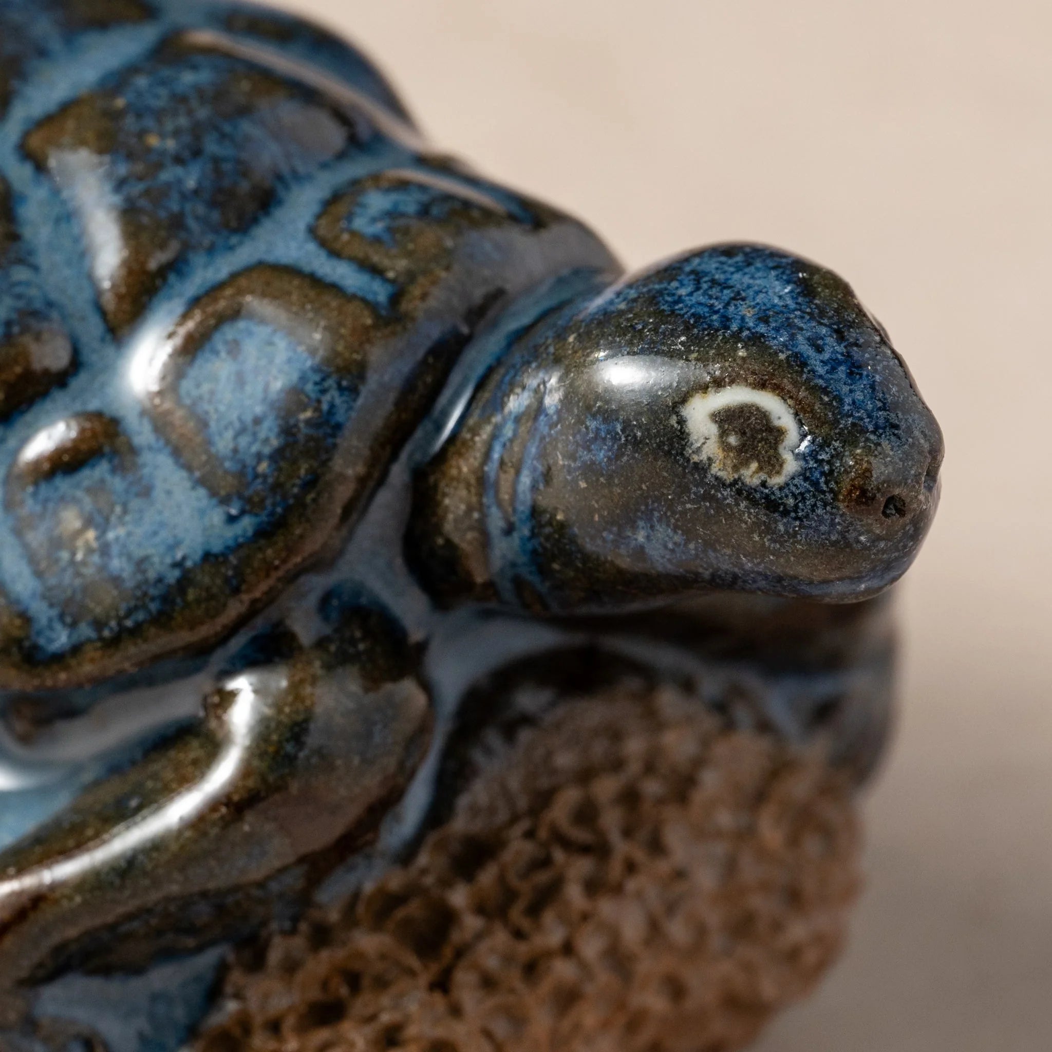 Pedicure Friend Turtle