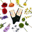 Socks that Save LGBTQ Lives: Classic Rainbow Stripe
