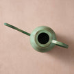 Bujhana Iron Watering Can - 5.5