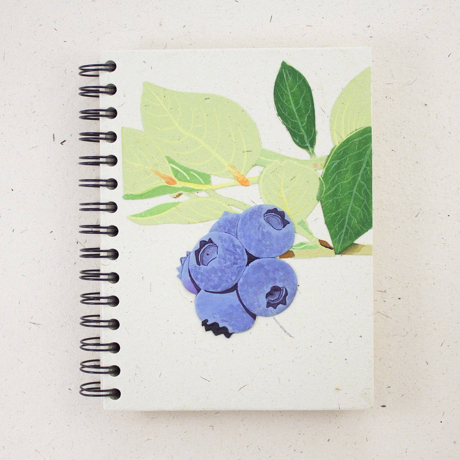 Large Notebook: Blueberries