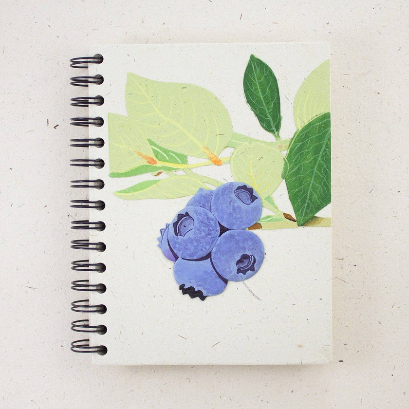 Large Notebook: Blueberries