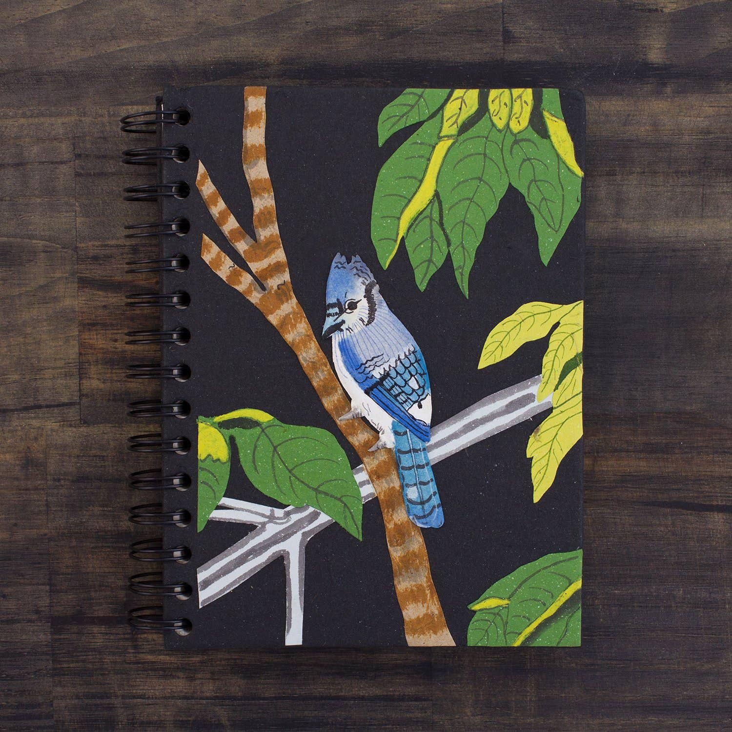 Large Notebook: Blue Jay