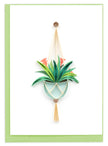 Bromeliad Macrame Hanger Gift Enclosure Mini Card
