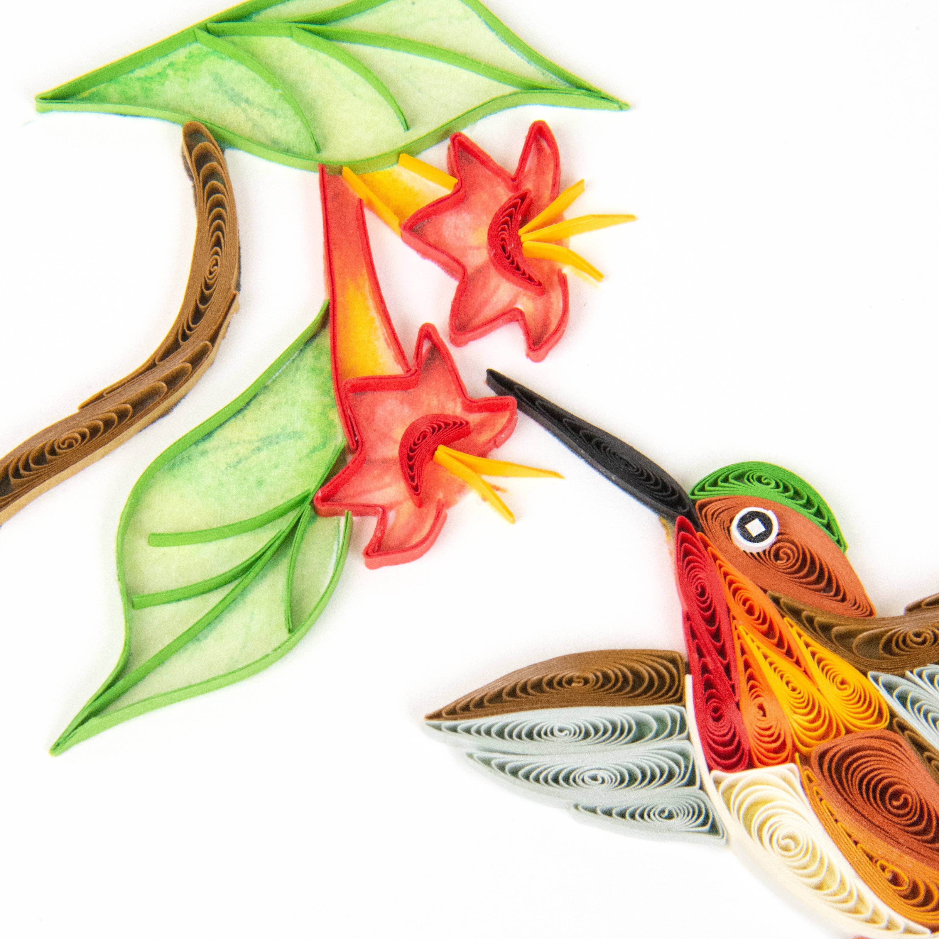 Rufous Hummingbird Gretting Card