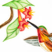Rufous Hummingbird Gretting Card