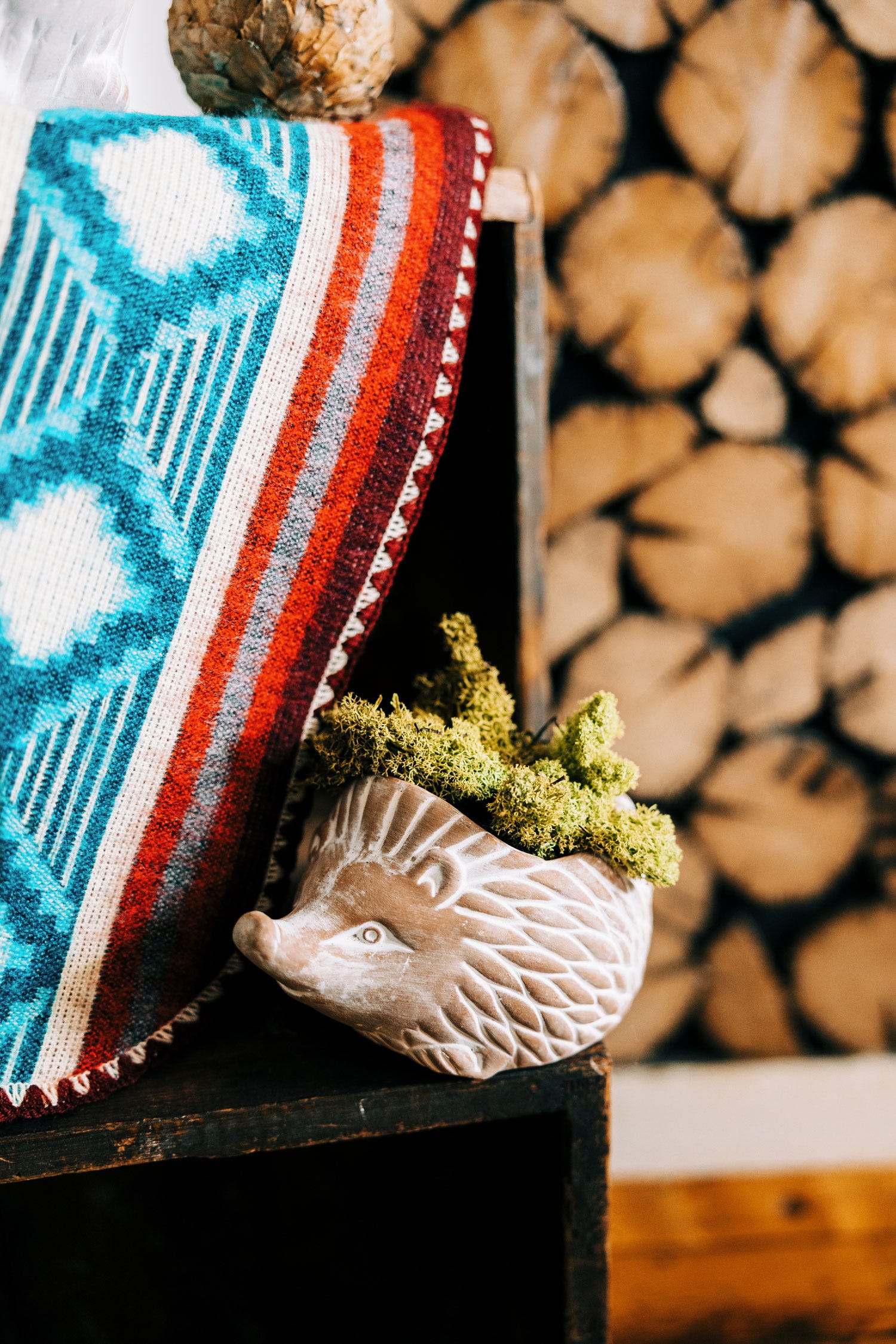 Hedgehog Planter - SM