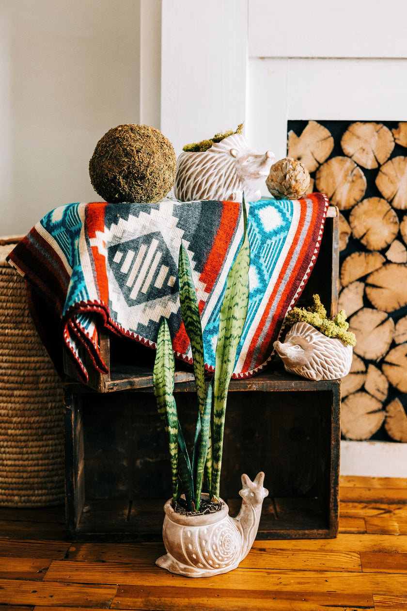 Hedgehog Planter - SM