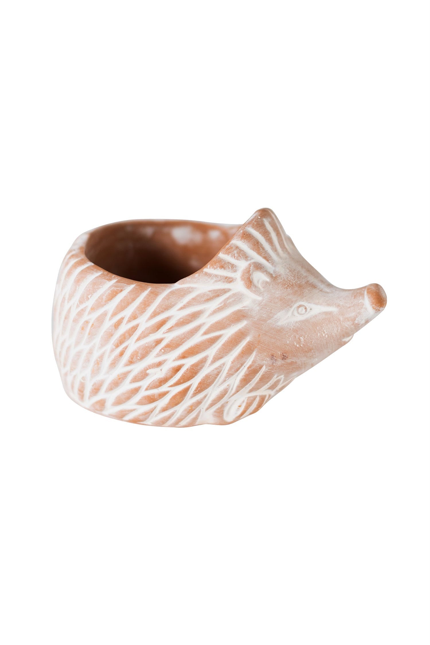 Hedgehog Planter - SM
