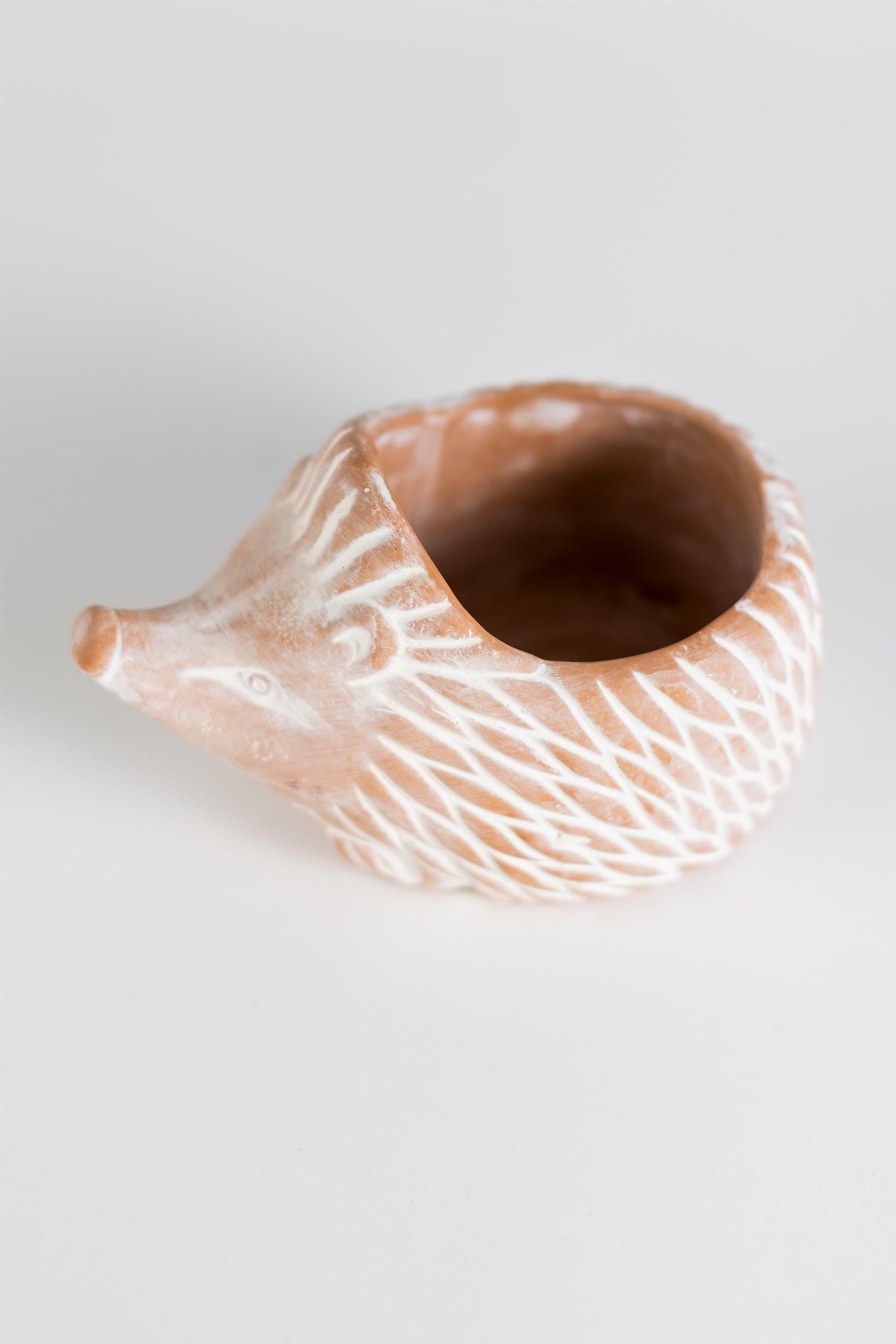 Hedgehog Planter - SM