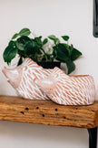 Hedgehog Planter - SM