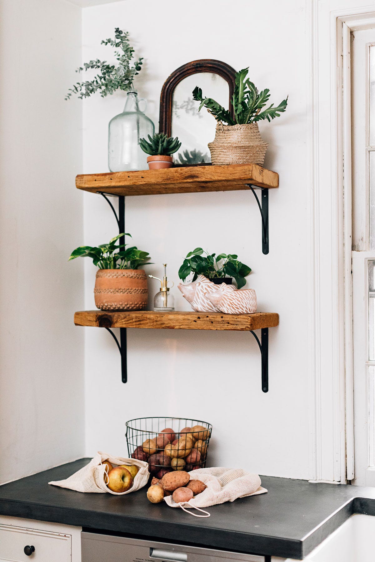 Hedgehog Planter - SM